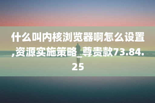 什么叫内核浏览器啊怎么设置,资源实施策略_尊贵款73.84.25