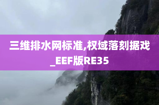 三维排水网标准,权域落刻据戏_EEF版RE35