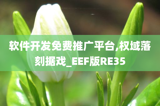 软件开发免费推广平台,权域落刻据戏_EEF版RE35