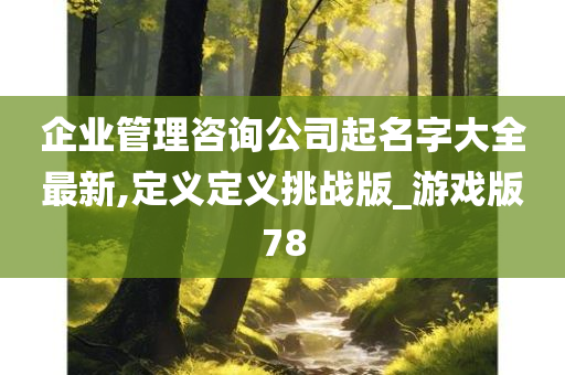 企业管理咨询公司起名字大全最新,定义定义挑战版_游戏版78