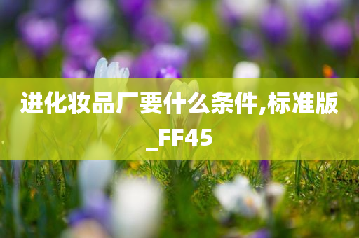 进化妆品厂要什么条件,标准版_FF45