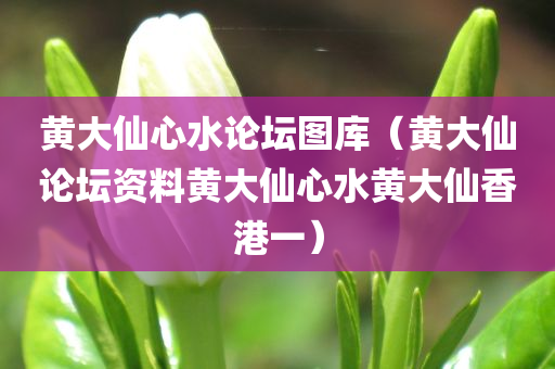 黄大仙心水论坛图库（黄大仙论坛资料黄大仙心水黄大仙香港一）