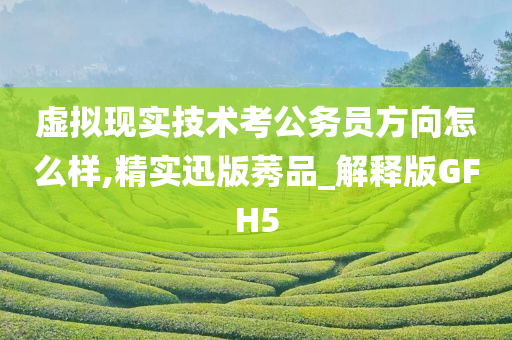 虚拟现实技术考公务员方向怎么样,精实迅版莠品_解释版GFH5