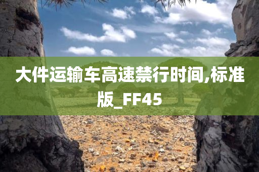 大件运输车高速禁行时间,标准版_FF45