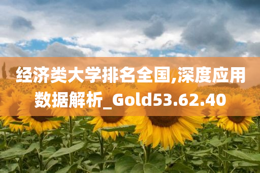 经济类大学排名全国,深度应用数据解析_Gold53.62.40