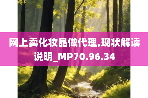 网上卖化妆品做代理,现状解读说明_MP70.96.34