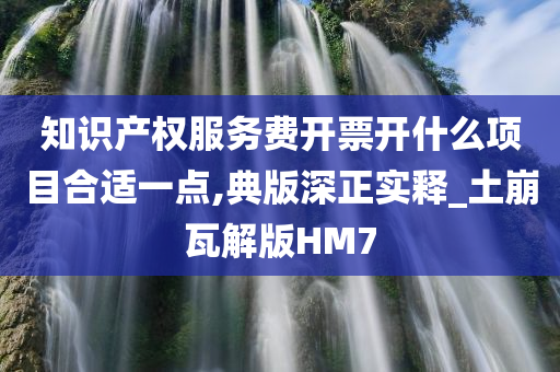 知识产权服务费开票开什么项目合适一点,典版深正实释_土崩瓦解版HM7