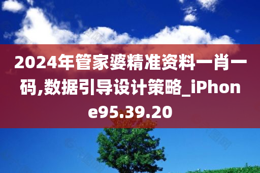 2024年管家婆精准资料一肖一码,数据引导设计策略_iPhone95.39.20