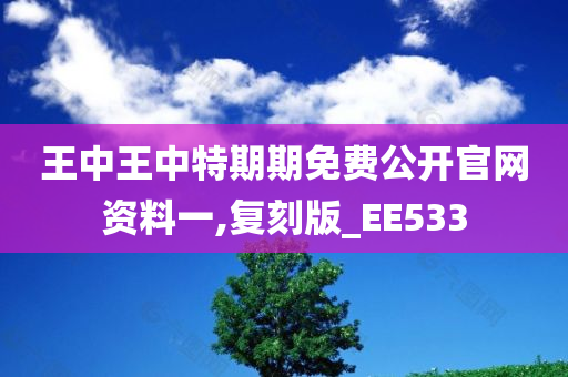 王中王中特期期免费公开官网资料一,复刻版_EE533