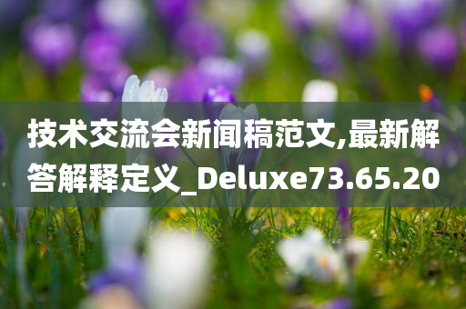 技术交流会新闻稿范文,最新解答解释定义_Deluxe73.65.20