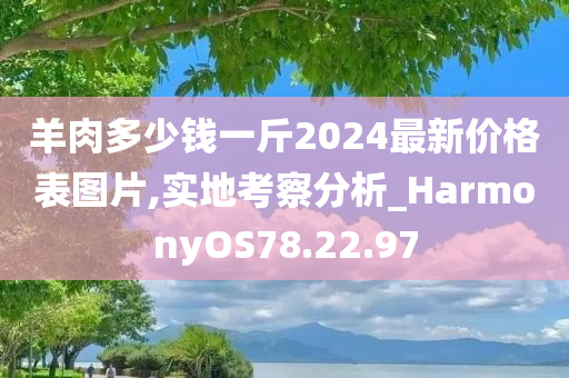 羊肉多少钱一斤2024最新价格表图片,实地考察分析_HarmonyOS78.22.97