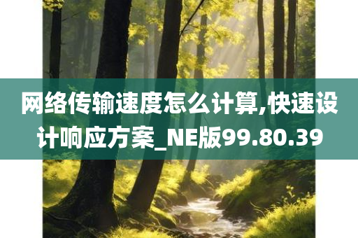 网络传输速度怎么计算,快速设计响应方案_NE版99.80.39