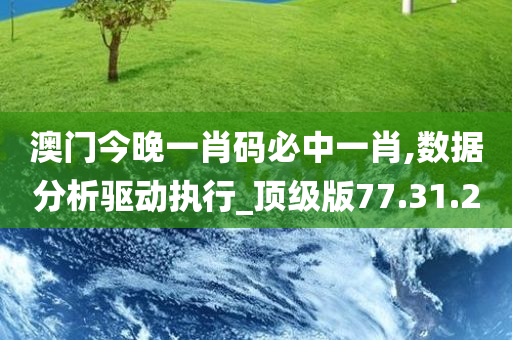 澳门今晚一肖码必中一肖,数据分析驱动执行_顶级版77.31.20