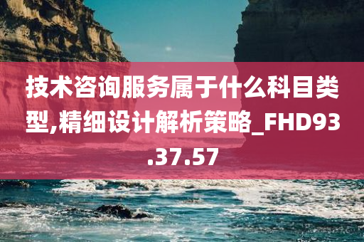 技术咨询服务属于什么科目类型,精细设计解析策略_FHD93.37.57