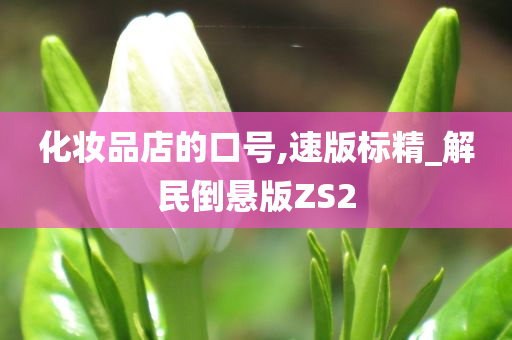 化妆品店的口号,速版标精_解民倒悬版ZS2