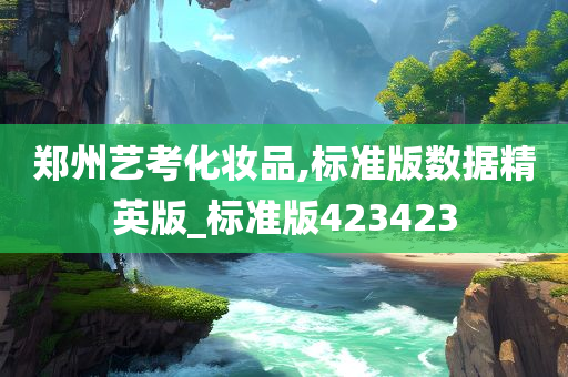 郑州艺考化妆品,标准版数据精英版_标准版423423