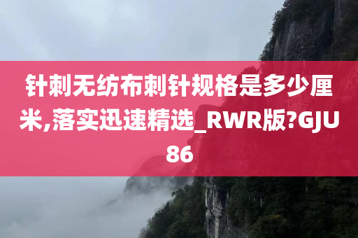 针刺无纺布刺针规格是多少厘米,落实迅速精选_RWR版?GJU86