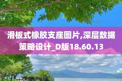 滑板式橡胶支座图片,深层数据策略设计_D版18.60.13