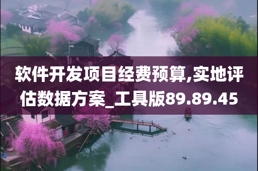 软件开发项目经费预算,实地评估数据方案_工具版89.89.45