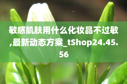 敏感肌肤用什么化妆品不过敏,最新动态方案_tShop24.45.56