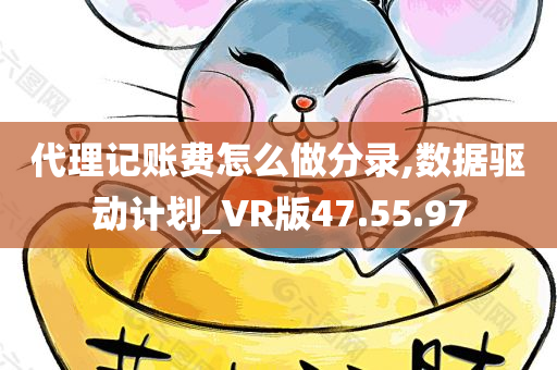 代理记账费怎么做分录,数据驱动计划_VR版47.55.97