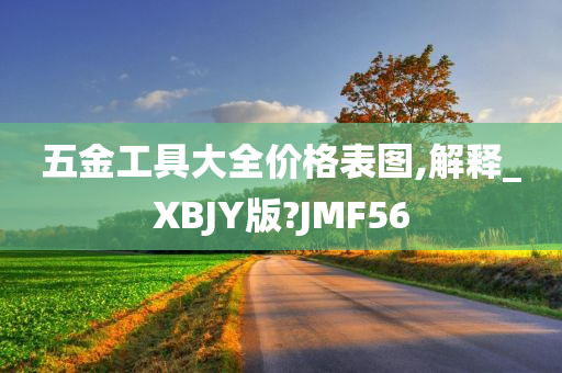 五金工具大全价格表图,解释_XBJY版?JMF56