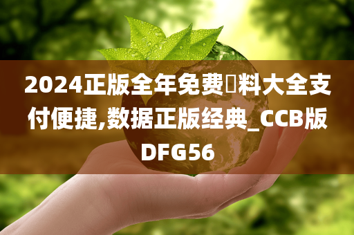 2024正版全年免费資料大全支付便捷,数据正版经典_CCB版DFG56