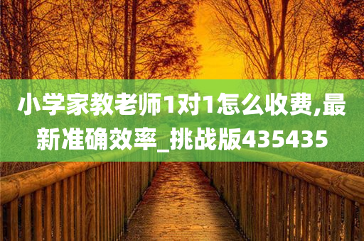 小学家教老师1对1怎么收费,最新准确效率_挑战版435435