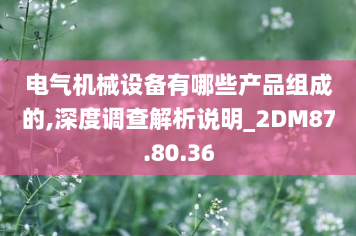 电气机械设备有哪些产品组成的,深度调查解析说明_2DM87.80.36