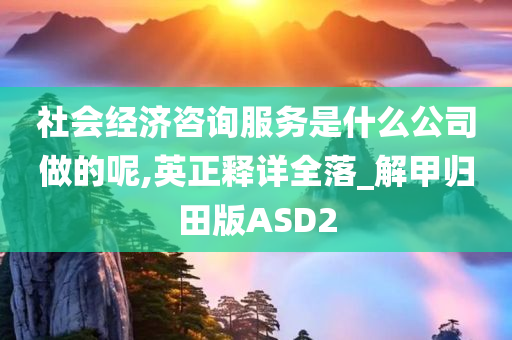 社会经济咨询服务是什么公司做的呢,英正释详全落_解甲归田版ASD2