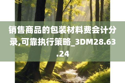 销售商品的包装材料费会计分录,可靠执行策略_3DM28.63.24