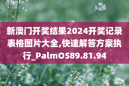 新澳门开奖结果2024开奖记录表格图片大全,快速解答方案执行_PalmOS89.81.94