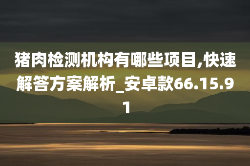 猪肉检测机构有哪些项目,快速解答方案解析_安卓款66.15.91