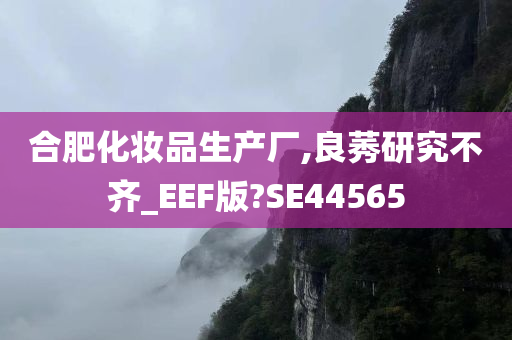 合肥化妆品生产厂,良莠研究不齐_EEF版?SE44565