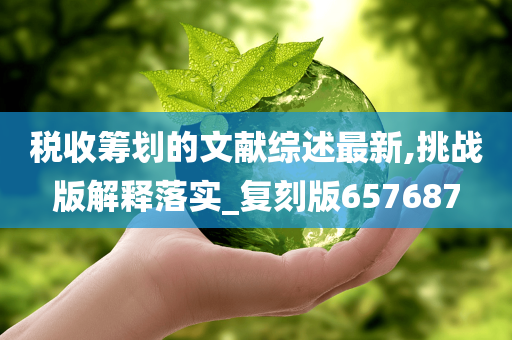 税收筹划的文献综述最新,挑战版解释落实_复刻版657687