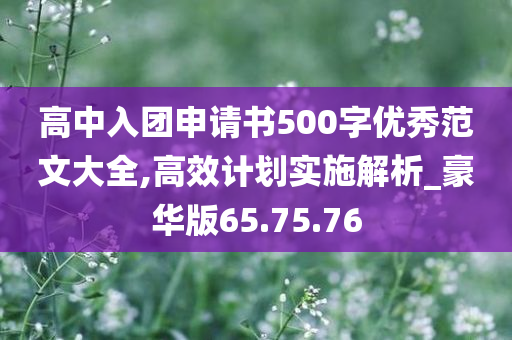 高中入团申请书500字优秀范文大全,高效计划实施解析_豪华版65.75.76