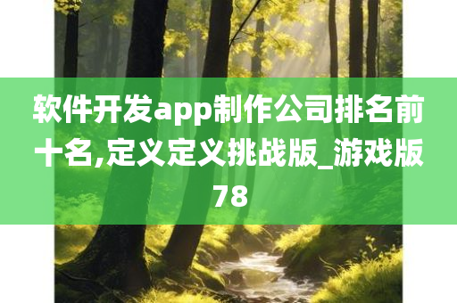 软件开发app制作公司排名前十名,定义定义挑战版_游戏版78