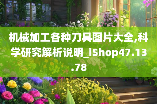 机械加工各种刀具图片大全,科学研究解析说明_iShop47.13.78