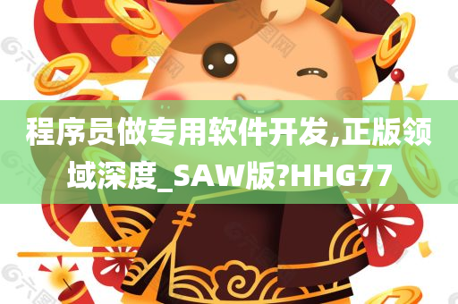 程序员做专用软件开发,正版领域深度_SAW版?HHG77