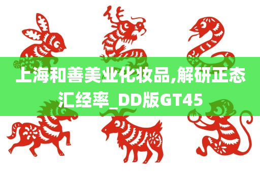 上海和善美业化妆品,解研正态汇经率_DD版GT45