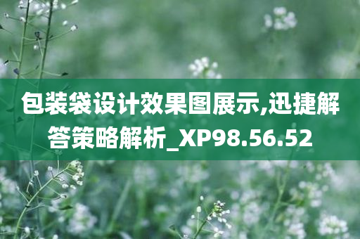 包装袋设计效果图展示,迅捷解答策略解析_XP98.56.52