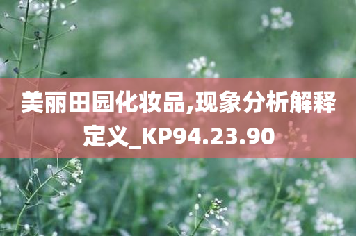 美丽田园化妆品,现象分析解释定义_KP94.23.90