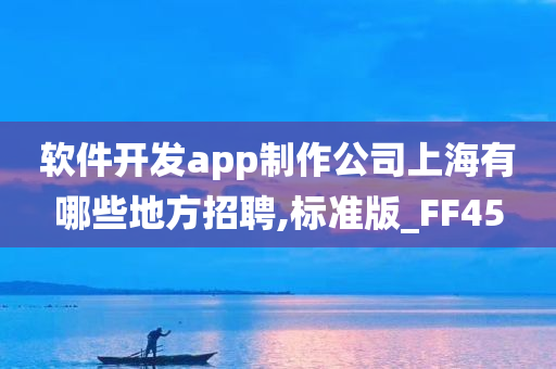 软件开发app制作公司上海有哪些地方招聘,标准版_FF45