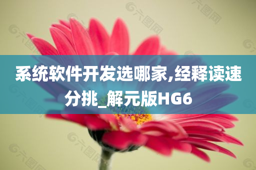 系统软件开发选哪家,经释读速分挑_解元版HG6