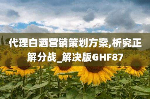 代理白酒营销策划方案,析究正解分战_解决版GHF87