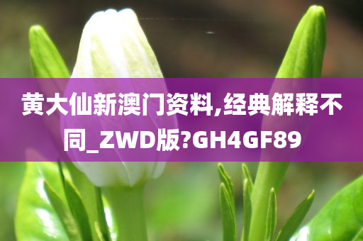 黄大仙新澳门资料,经典解释不同_ZWD版?GH4GF89