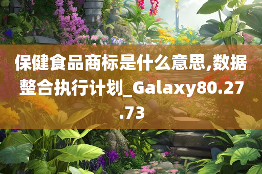 保健食品商标是什么意思,数据整合执行计划_Galaxy80.27.73