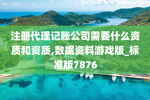 注册代理记账公司需要什么资质和资质,数据资料游戏版_标准版7876