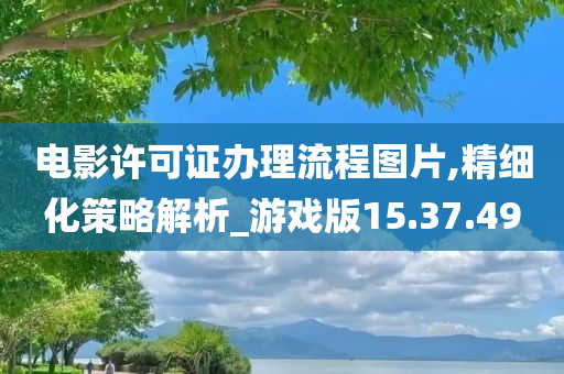 电影许可证办理流程图片,精细化策略解析_游戏版15.37.49