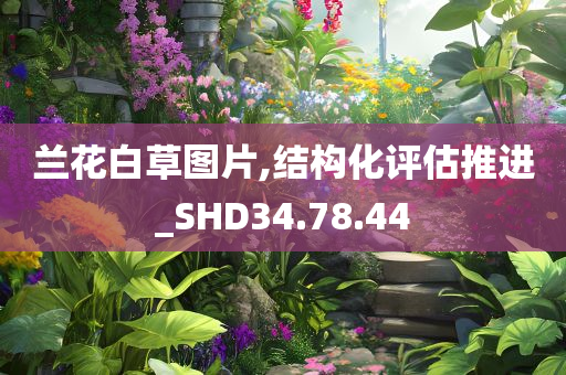 兰花白草图片,结构化评估推进_SHD34.78.44